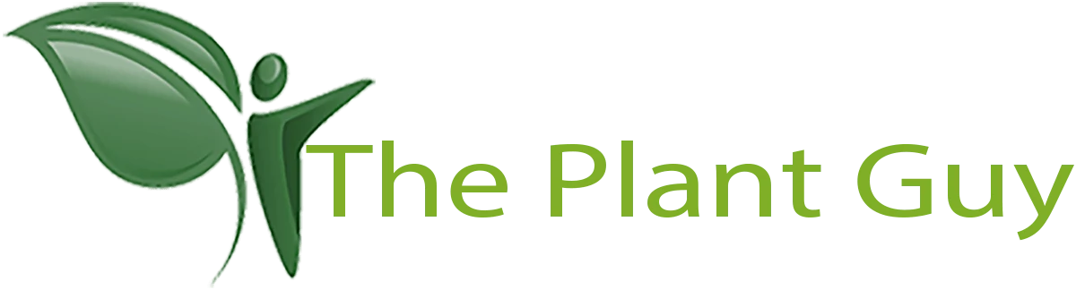 Interior Landscapes | Las Vegas, NV - The Plant Guy